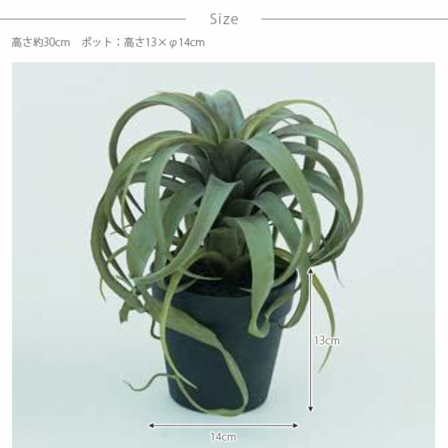 Brown. ブラウン キセログラフィカ ポット  観葉植物 フェイクグリーン イミテーションフラワー 造花 ディスプレイ ボタニカル 植物 多肉植物 インテリア おしゃれ  