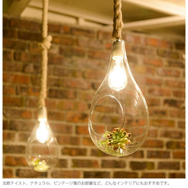 ボタニックハンギングライト S  ペンダントライト ハンギングライト テラリウム LEDライト LED オブジェライト インテリア 植物 グリーン おしゃれ  