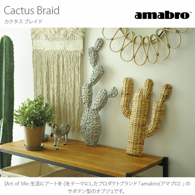 amabro アマブロ CACTUS BRAID(カクタス ブレイド)  オブジェ サボテン 仙人掌 天然水草 ウォーターヒヤシンス インテリア 伝統 ナチュラル おしゃれ アート  