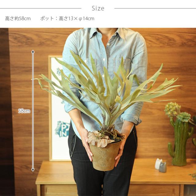 Brown. ブラウン フェイクグリーン ビカクシダ ポット 58cm  観葉植物 フェイクグリーン おしゃれ 造花 ディスプレイ ボタニカル 植物 多肉植物 インテリア おしゃれ  