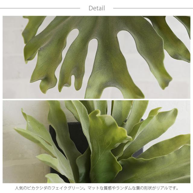 Brown. ブラウン フェイクグリーン ビカクシダ ウォールハンギング スレート 30  フェイクグリーン 壁掛け ハンギング おしゃれ 壁 グリーン インテリア 造花 植物 ペット  