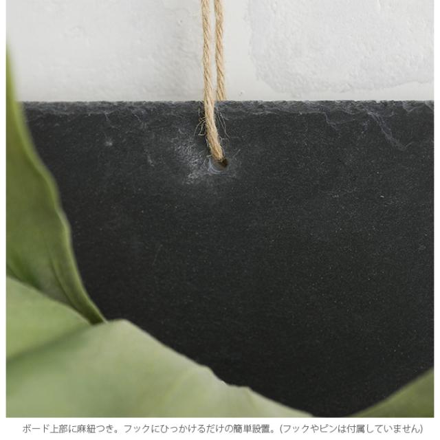 Brown. ブラウン フェイクグリーン ビカクシダ ウォールハンギング スレート 30  フェイクグリーン 壁掛け ハンギング おしゃれ 壁 グリーン インテリア 造花 植物 ペット  