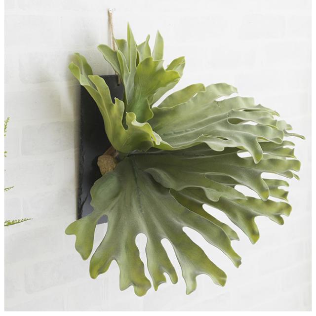 Brown. ブラウン フェイクグリーン ビカクシダ ウォールハンギング スレート 30  フェイクグリーン 壁掛け ハンギング おしゃれ 壁 グリーン インテリア 造花 植物 ペット  