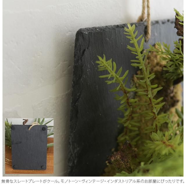 Brown. ブラウン フェイクグリーン ファーン ウォールハンギング スレート 20  フェイクグリーン 壁掛け ハンギング おしゃれ 壁 グリーン インテリア 造花 植物 ペット  