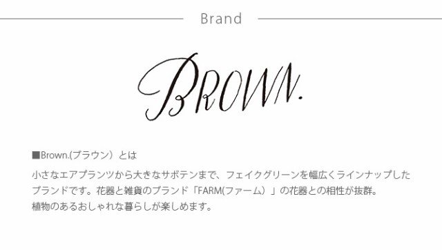 Brown. ブラウン フェイクグリーン ビカクシダ ウォールハンギング スレート 20  フェイクグリーン 壁掛け ハンギング おしゃれ 壁 グリーン インテリア 造花 植物 ペット  