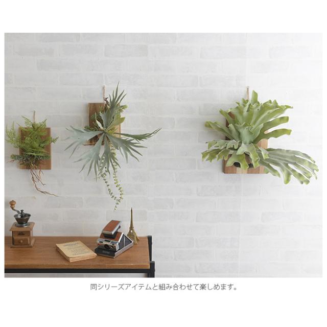 Brown. ブラウン フェイクグリーン ビカクシダ ウォールハンギング アカシア 20  フェイクグリーン 壁掛け ハンギング おしゃれ 壁 グリーン インテリア 造花 植物 ペット  