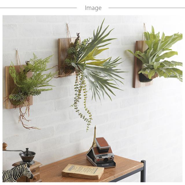 Brown. ブラウン フェイクグリーン ビカクシダ ウォールハンギング アカシア 20  フェイクグリーン 壁掛け ハンギング おしゃれ 壁 グリーン インテリア 造花 植物 ペット  