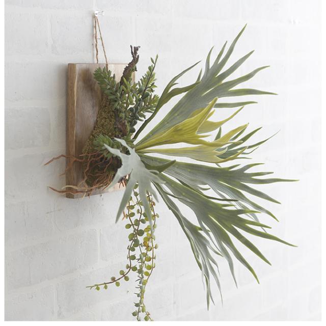 Brown. ブラウン フェイクグリーン ビカクシダ ウォールハンギング アカシア 20  フェイクグリーン 壁掛け ハンギング おしゃれ 壁 グリーン インテリア 造花 植物 ペット  