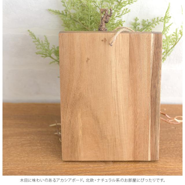 Brown. ブラウン フェイクグリーン ファーン ウォールハンギング アカシア 20  フェイクグリーン 壁掛け ハンギング おしゃれ 壁 グリーン インテリア 造花 植物 ペット  