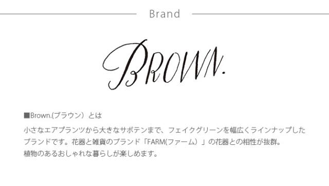 Brown. ブラウン フェイクグリーン ファーン ウォールハンギング アカシア 20  フェイクグリーン 壁掛け ハンギング おしゃれ 壁 グリーン インテリア 造花 植物 ペット  