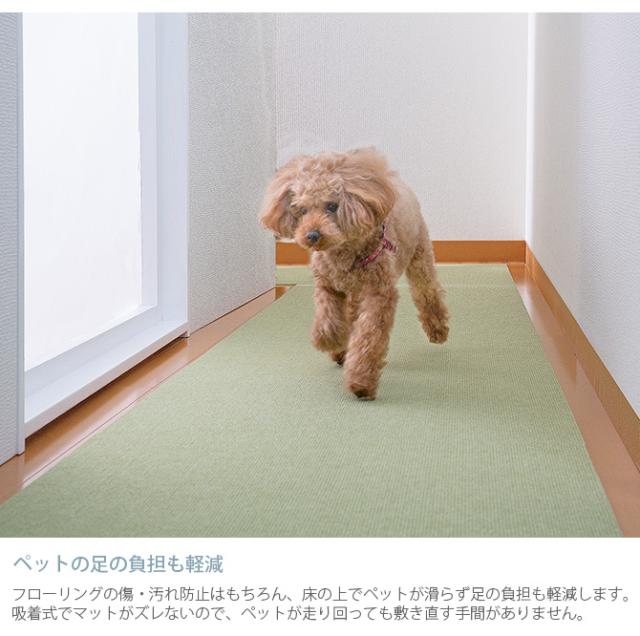 SANKO(サンコー) ペット用床保護マット 60×120cm 犬 猫 ペット用 マット 撥水加工 おくだけ吸着 フロアマット 傷防止 汚れ防止 ずれない