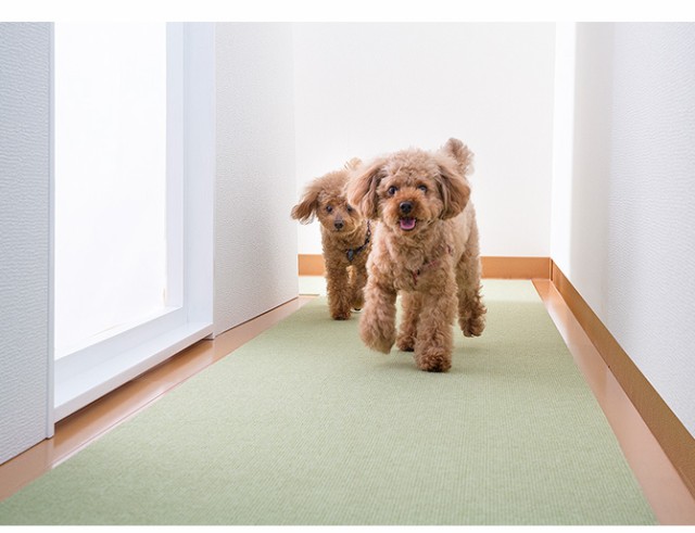 SANKO(サンコー) ペット用床保護マット 60×240?p  犬 猫 ペット用 マット 撥水加工 おくだけ吸着 フロアマット 傷防止 汚れ防止 ずれない  