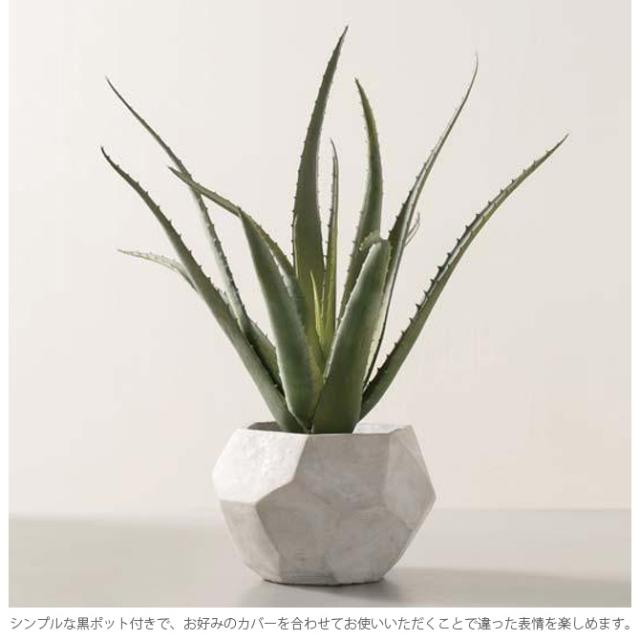 Brown. ブラウン アロエベラ ポット 48   観葉植物 フェイクグリーン 造花 アロエ ポット 鉢 おしゃれ リアル 多肉植物 インテリア  