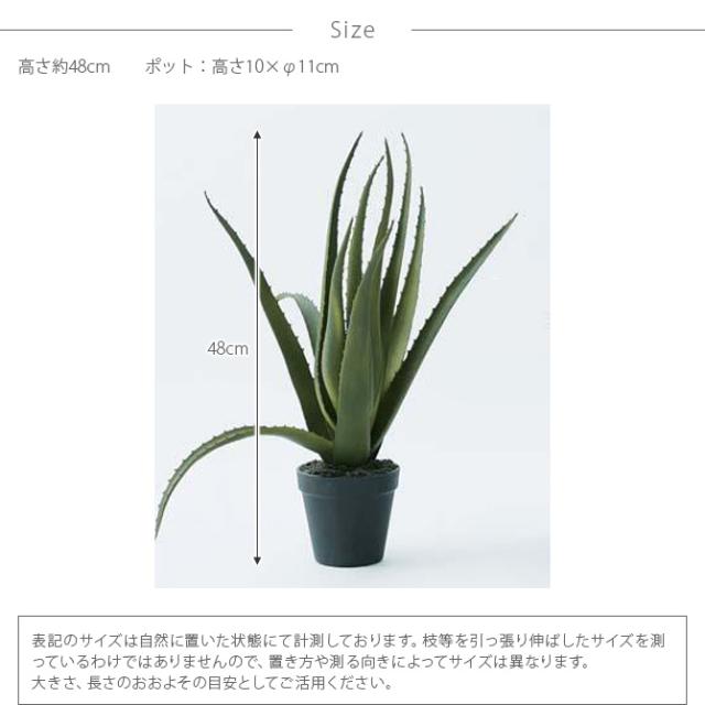 Brown. ブラウン アロエベラ ポット 48   観葉植物 フェイクグリーン 造花 アロエ ポット 鉢 おしゃれ リアル 多肉植物 インテリア  