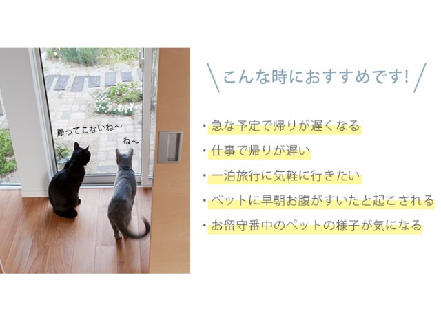 MARUKAN マルカン ペット用オートフィーダーカメラ付  猫 犬 ペット 自動給餌器 オートフィーダー 餌 タイマー カメラ付き ごはん お留守番  