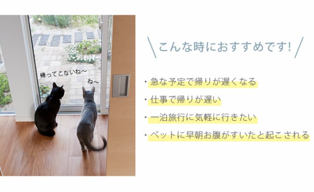 MARUKAN マルカン ペット用オートフィーダー 猫 犬 ペット 自動給餌器 オートフィーダー 餌 タイマー ごはん お留守番