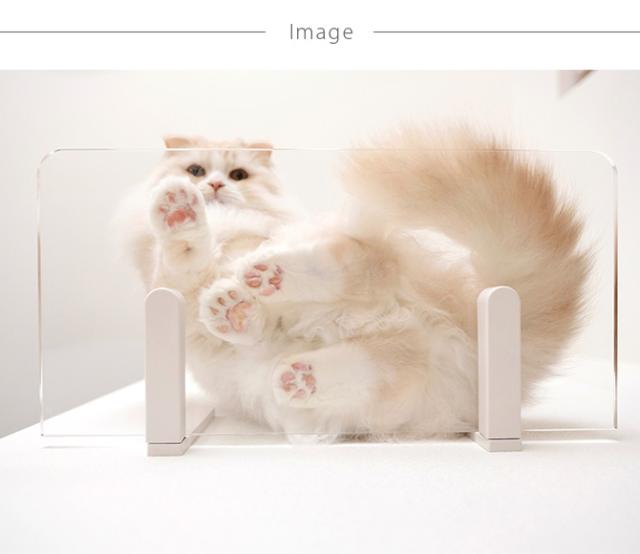 animacolle アニマコレ Catroad+ キャット ワイドステップ 3点セット