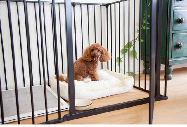 スカンジナビアンペットデザイン スカンジナビアンペットケージ XL  犬用 犬 ペット ケージ 組み立て式 シンプル デザイン ホワイト ブラック おしゃれ  