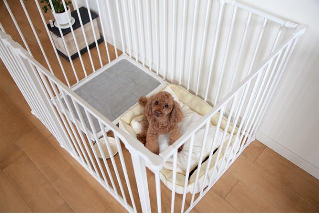 スカンジナビアンペットデザイン スカンジナビアンペットケージ XL  犬用 犬 ペット ケージ 組み立て式 シンプル デザイン ホワイト ブラック おしゃれ  