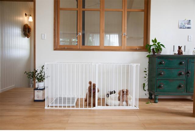 スカンジナビアンペットデザイン スカンジナビアンペットケージ XXL  犬用 犬 ペット ケージ 組み立て式 シンプル デザイン ホワイト ブラック おしゃれ  