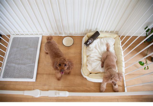 スカンジナビアンペットデザイン スカンジナビアンペットケージ XXL  犬用 犬 ペット ケージ 組み立て式 シンプル デザイン ホワイト ブラック おしゃれ  