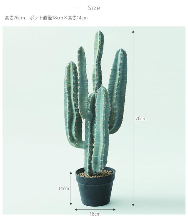 Brown. ブラウン 柱サボテン ポット 76 