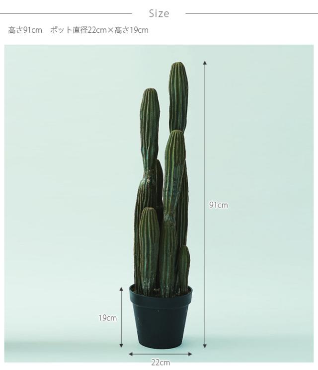 Brown. ブラウン 柱サボテン ポット 91 