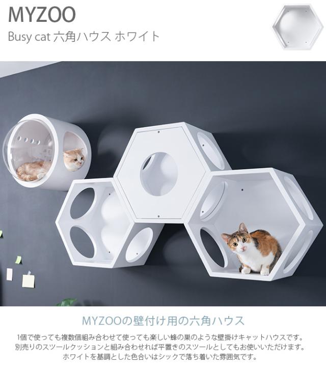 MYZOO マイズー Busy cat 六角ハウス 猫 キャットステップ キャットウォーク 六角 ホワイト MY ZOO シンプル MYZOO 壁掛け 北欧