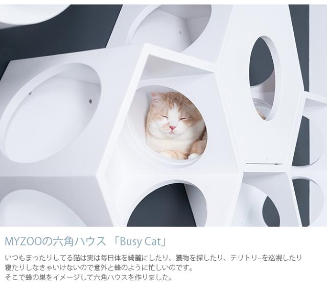 MYZOO マイズー Busy cat 六角ハウス 猫 キャットステップ キャットウォーク 六角 ホワイト MY ZOO シンプル MYZOO 壁掛け 北欧