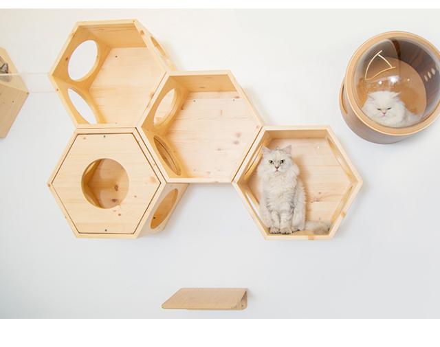 MYZOO マイズー Busy Cat専用 Cover Plate カバープレート 猫 キャットハウス スツール 六角 木製 無垢材 シンプル 椅子 腰掛け 北欧