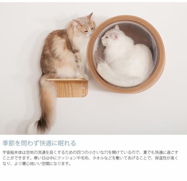 MYZOO マイズー Spaceship Gamma Wood 宇宙船 ガンマ