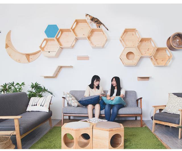 MYZOO マイズー Zone キャットステップ 猫 キャットステップ キャットウォーク 壁付け 壁掛け 木製 シンプル ジクザク Z型 北欧