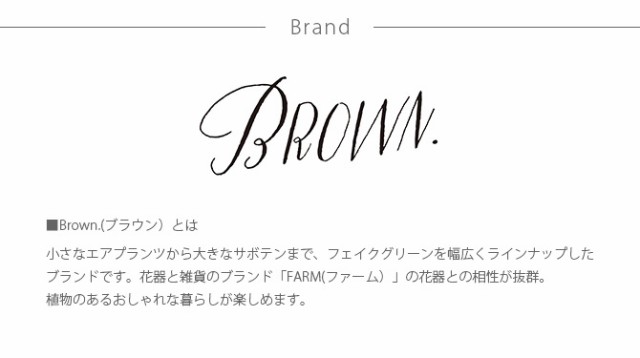 Brown. ブラウン フェイクグリーン ビカクシダ ハンギングボール 46 