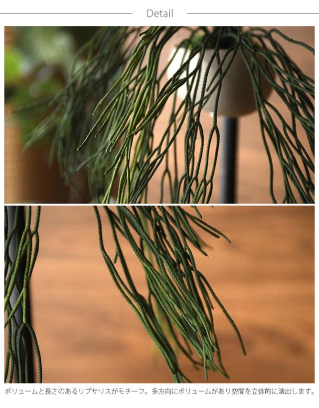 Brown. ブラウン フェイクグリーン リプサリス ハンギングポット 