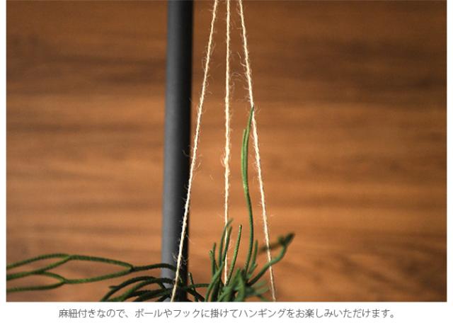 Brown. ブラウン フェイクグリーン リプサリス ハンギングポット 