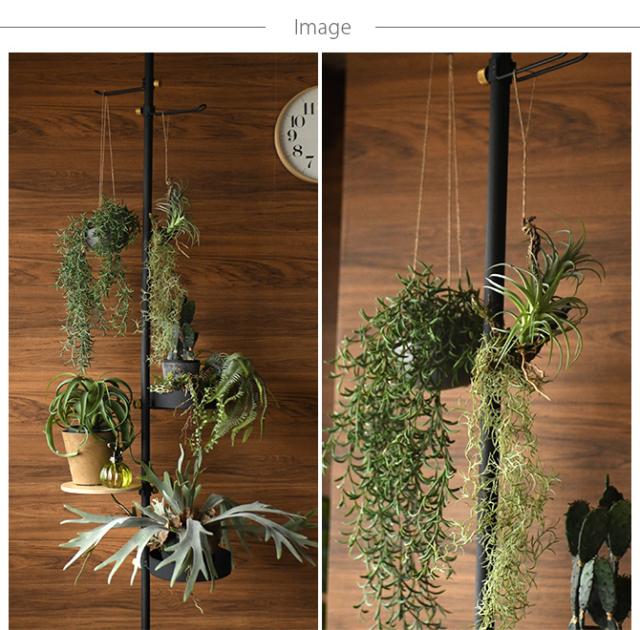 Brown. ブラウン フェイクグリーン アレンジメント 着生 64 