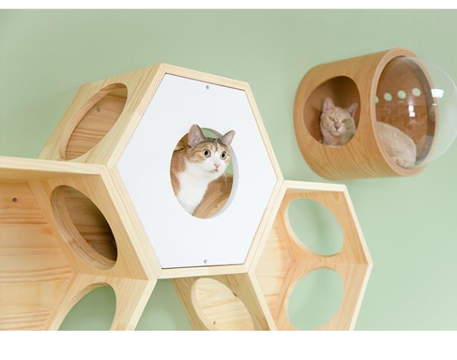 MYZOO マイズー Busy Cat専用 Cover Plate カバープレート ホワイト 猫 ハウス スツール 六角 木製 白 シンプル 椅子 腰掛け 北欧