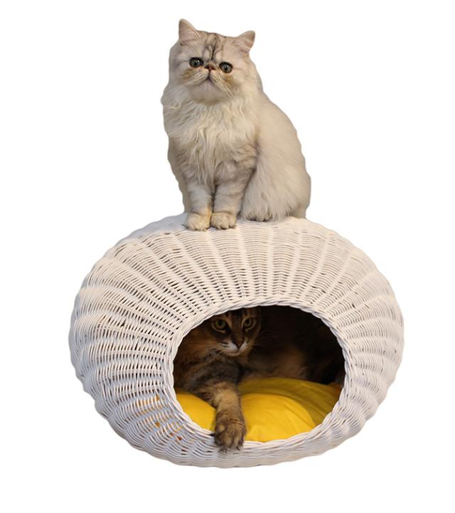人気が高い N4-style ラタンエッグハウス 猫用 ベッド ペットベッド 