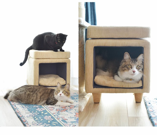 楽天ランキング1位 ペットスツール スクエア 猫用 犬用 ペット用 ハウス スツール ベッド 椅子 ねこ 初回限定 Olsonesq Com