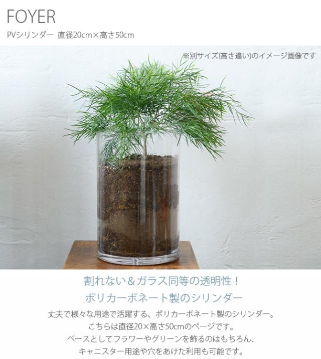 FOYER ホワイエ PVシリンダー 直径20cm×高さ50cm 