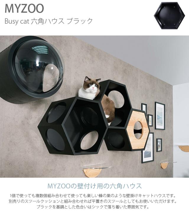 MYZOO マイズー Busy cat 六角ハウス  猫 キャットステップ キャットウォーク 壁付け 壁掛け ブラック シンプル MY ZOO 北欧  