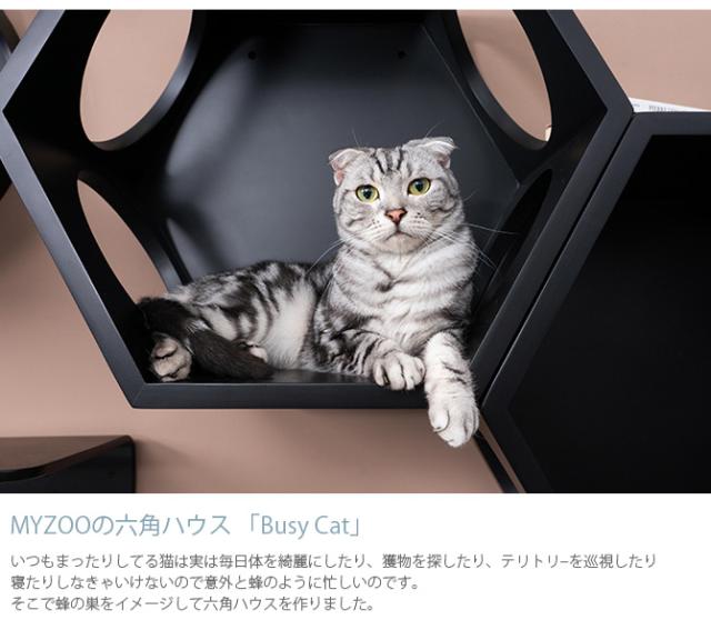MYZOO マイズー Busy cat 六角ハウス  猫 キャットステップ キャットウォーク 壁付け 壁掛け ブラック シンプル MY ZOO 北欧  