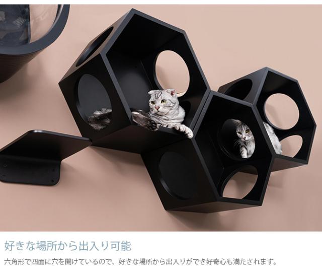MYZOO マイズー Busy cat 六角ハウス  猫 キャットステップ キャットウォーク 壁付け 壁掛け ブラック シンプル MY ZOO 北欧  