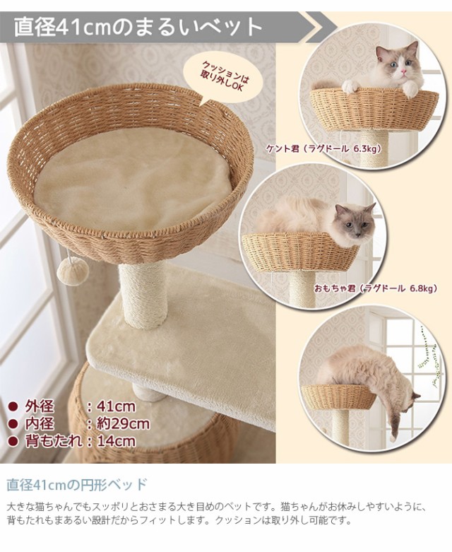 Mau マウ キャットタワー グレイス  猫用 キャットタワー ハウス カゴ おしゃれ 大型猫 ハンモック  