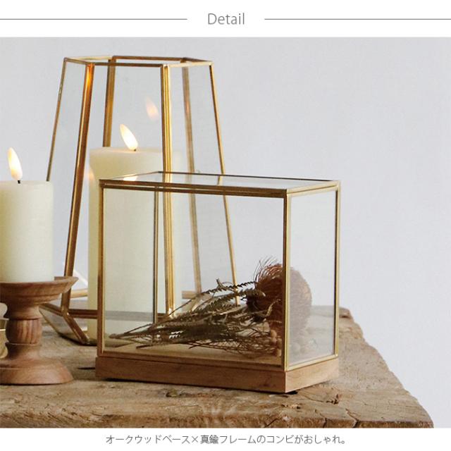 Horn Please ホーン プリーズ BRASSフレーム ディスプレイボックス ワイド S