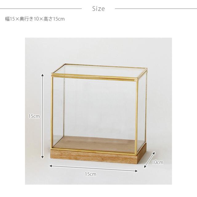 Horn Please ホーン プリーズ BRASSフレーム ディスプレイボックス ワイド S