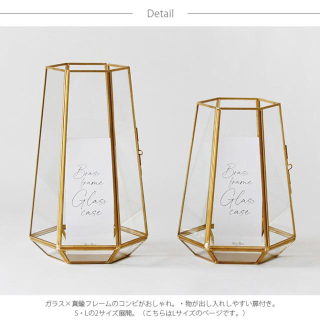 Horn Please ホーン プリーズ BRASSフレーム ガラスケース ヘキサゴン L