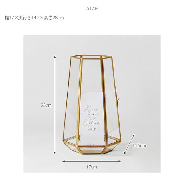 Horn Please ホーン プリーズ BRASSフレーム ガラスケース ヘキサゴン L