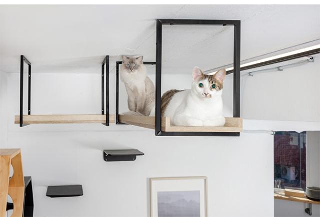 MYZOO マイズー AVENUE 60cm  猫用 猫 キャットステップ キャットウォーク 壁付け 天井付け キャット ステップ ウォーク 北欧  