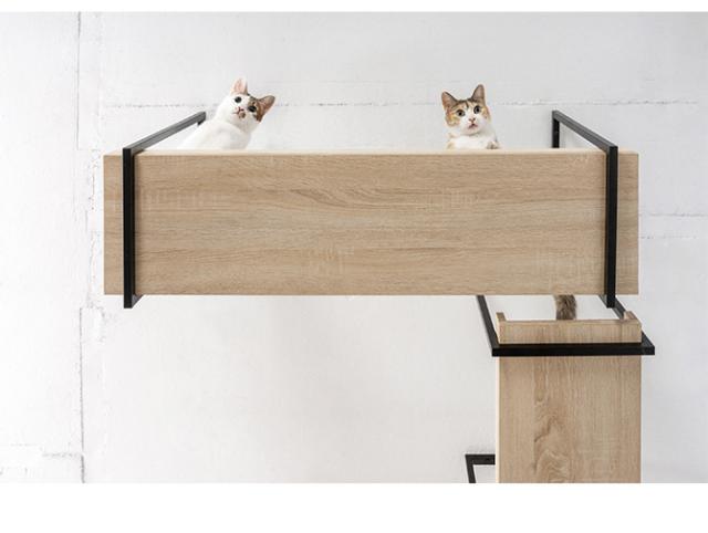 MYZOO マイズー AVENUE 60cm  猫用 猫 キャットステップ キャットウォーク 壁付け 天井付け キャット ステップ ウォーク 北欧  